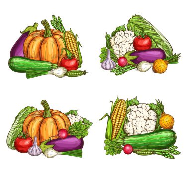 Natural farm vegetables harvest, vector