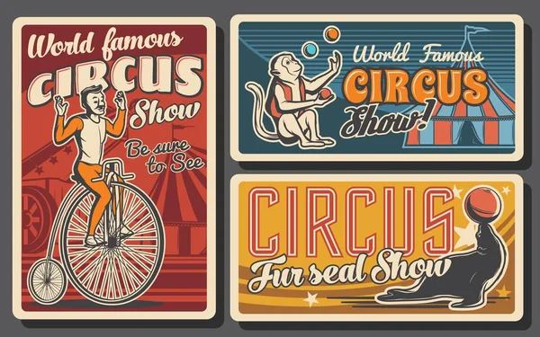Circus tent, acrobat and monkey juggler — Stockvector