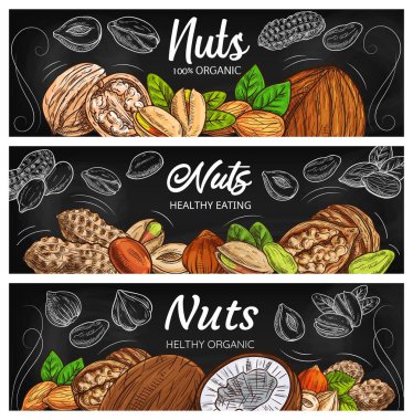 Almond, peanut, walnut and hazelnut nuts