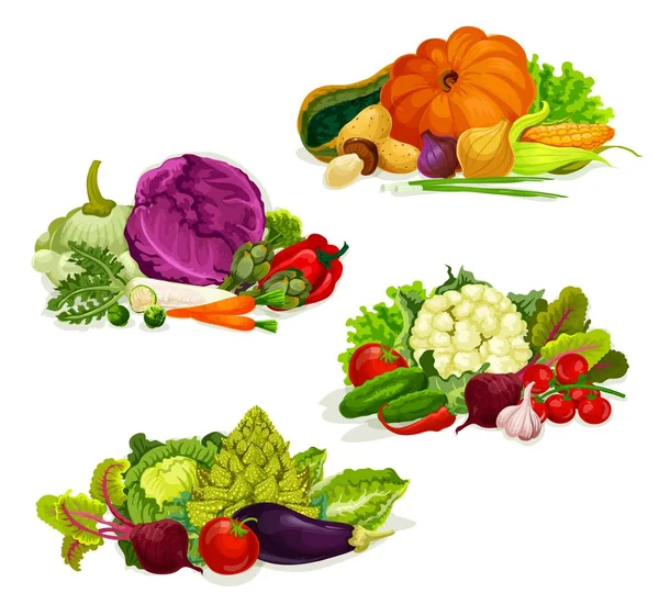 Vegetables, vegetarian food salads and cabbages — Stock Vector