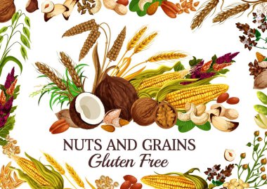Kernels and seeds, cereal food, nuts and grains