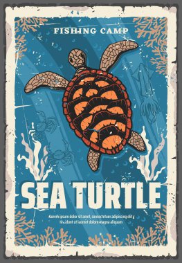 Sea turtle in ocean coral reefs