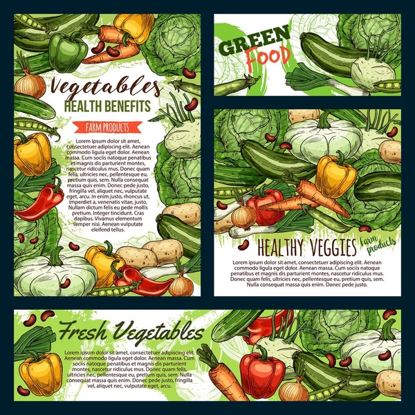野菜と緑の野菜、農業食品のスケッチ — ストックベクタ