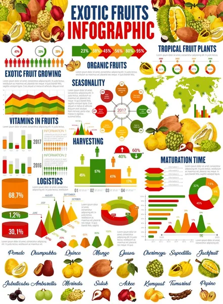 Εξωτικά φρούτα καλλιέργεια, συγκομιδή infographics — Διανυσματικό Αρχείο