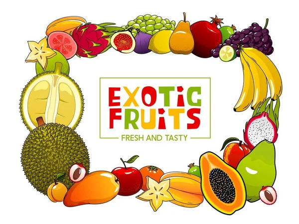 热带异国情调水果夏季食品载体框架 — 图库矢量图片