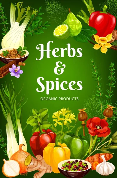Cocinar especias, aromas de hierbas y condimentos — Vector de stock