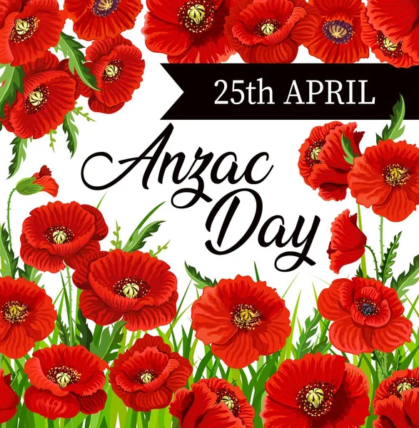 Red poppy flowers of Anzac Day — Stock Vector