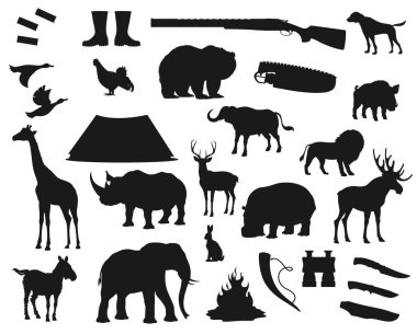 Wild animals hunting, hunter ammo equipment