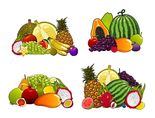 Exotic farm fruits, tropical fruity desserts — Stock Vector