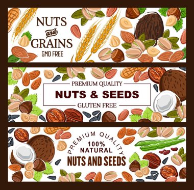 Gmo serbest doğal tohum, fındık ve tahıl taneleri