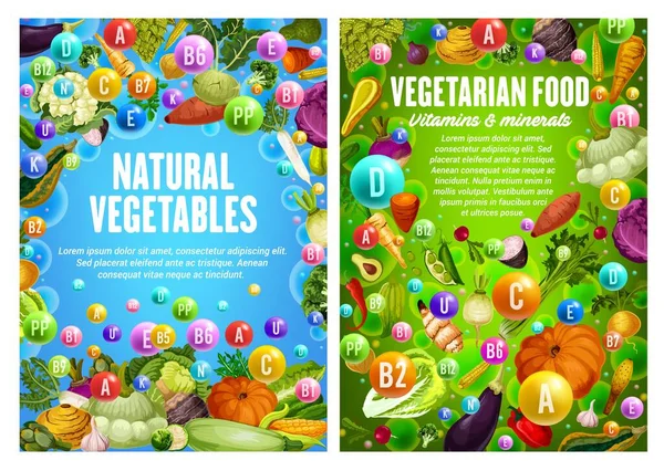 Vegetarian makanan, sayuran dan sayuran vitamin - Stok Vektor
