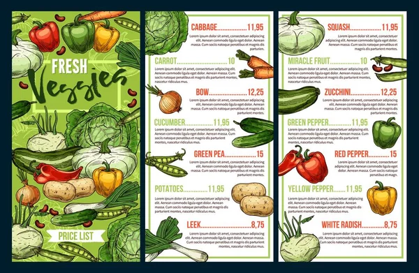 Jordbruksgrönsaker. Peppar, morot, zucchini, bönor — Stock vektor