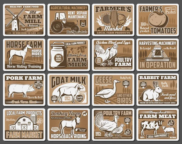 农场谷仓，田野，动物，蔬菜。农业 — 图库矢量图片