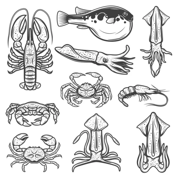 Αστακός, καλαμάρια, καβούρια, γαρίδες, φούγκου. Θαλασσινά, ψάρια — Διανυσματικό Αρχείο
