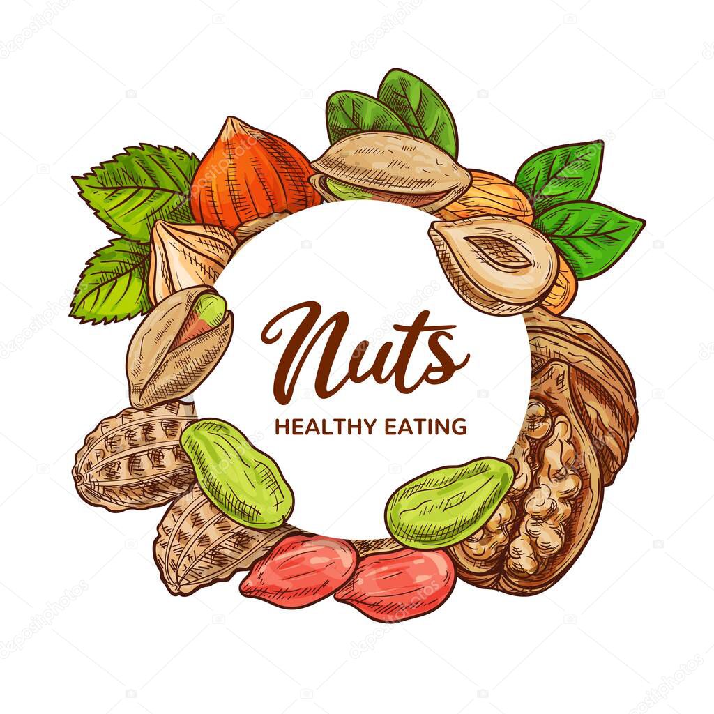 Nuts and legume beans vector sketch of food design. Peanut, almond and pistachio, hazelnut, walnut and groundnut round frame with dried seeds and grains, nut shells and kernels