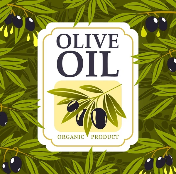 Gałęzie oliwne z kroplami oleju, czarne owoce, liście — Wektor stockowy