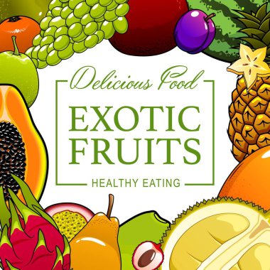 Tropik meyve ve çiftlik bahçesi doğal gıda posteri. Vektör sulu egzotik multifruit ananas, karpuz, papaya ve guava, doğal organik tropik durian ve ejderha meyvesi, erik, üzüm ve mandalina.