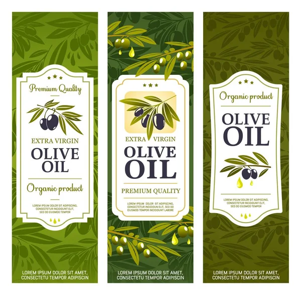 Etiquetas Del Envase Botella Aceite Oliva Aceitunas Vírgenes Extra Orgánicas — Vector de stock