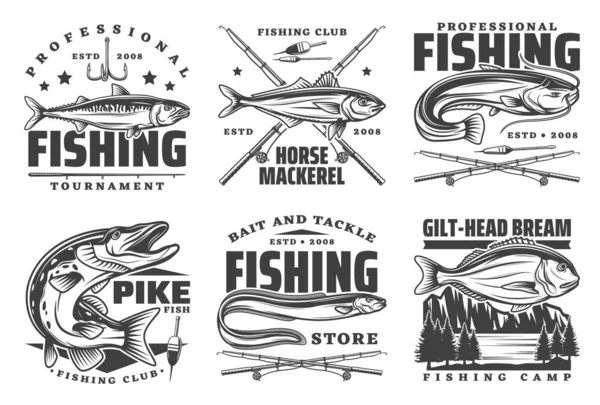 Iconos Pesca Carteles Del Club Pescadores Torneos Deportivos Señuelos Captura — Vector de stock