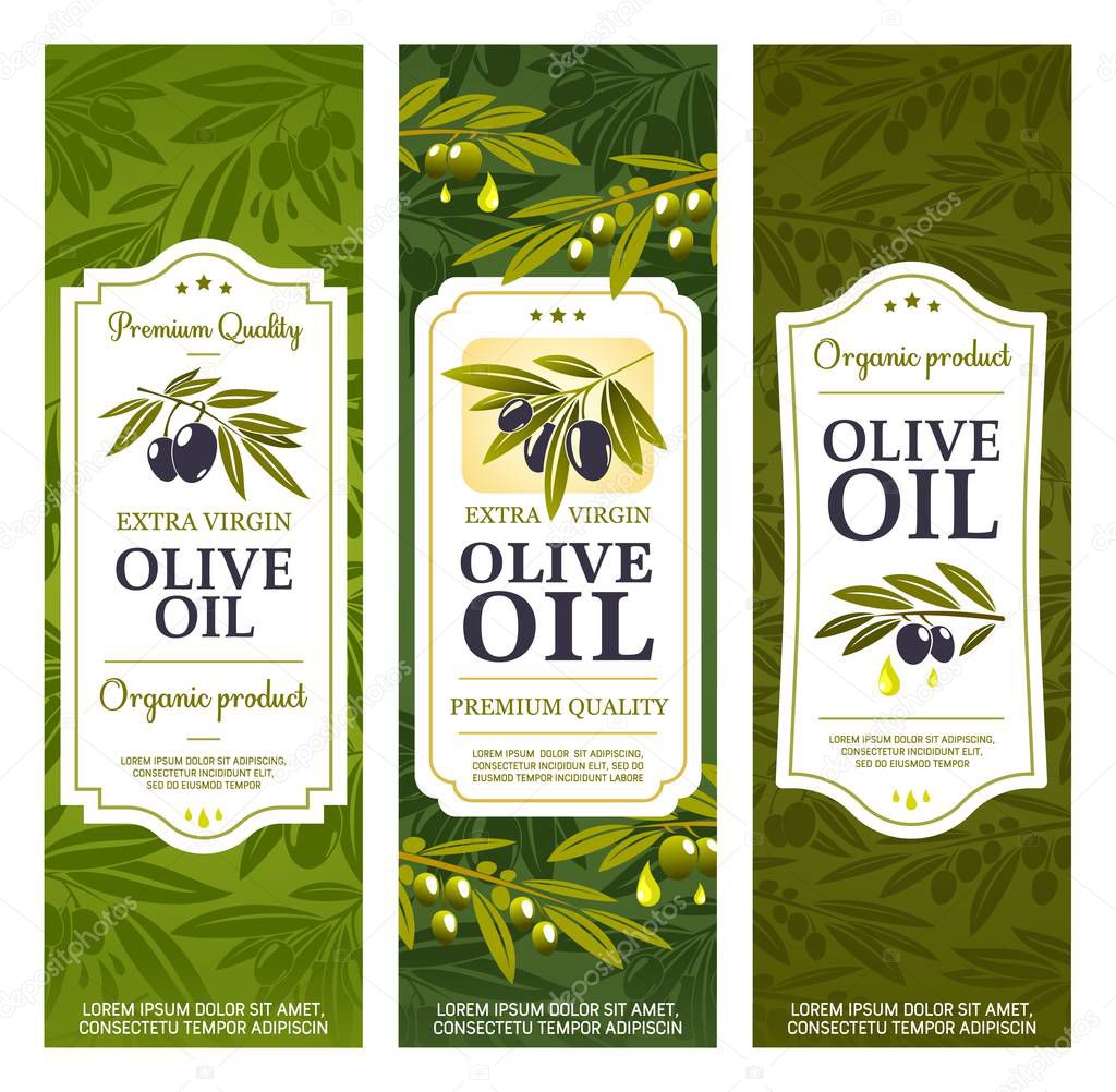 Olive oil bottle package labels, organic extra virgin olives. Vector Spanish, Greek and Italian premium quality natural olive oil banners with stars, drops and green leaves