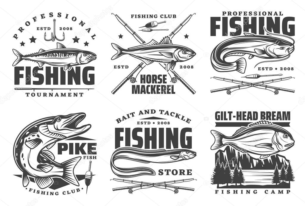 Fishing icons and fisherman club signs, sport tournament and fish catch lures, baits and tackles shop icons. Vector river sheatfish, pike and gilt-head bream, sea mackerel and eel fish