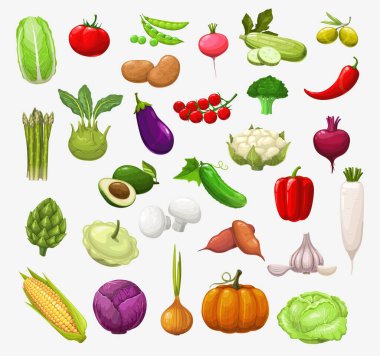 Sebze ve salata. Domates, biber ve brokoli, soğan ve bezelye, lahana ve kabak, kırmızı biber, sarımsak ve turp, karnabahar, mantar ve balkabağı, mısır, zeytin, patlıcan ve avokado.