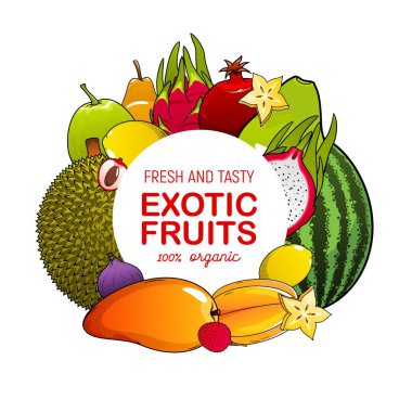 Tropikal böğürtlen çerçeveli egzotik meyve ikonu. Vektör mango, limon ve incir, liçi, Jackfruit ve carambola dilimleri, armut, karpuz ve guava, ejderha meyvesi, nar, doğal meyve suyu veya gıda tasarımı