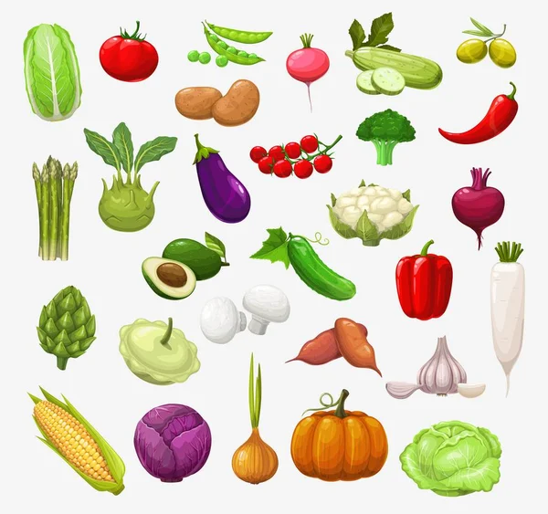 Vectorgroenten Salades Tomaat Peper Broccoli Erwt Kool Courgette Chili Knoflook — Stockvector