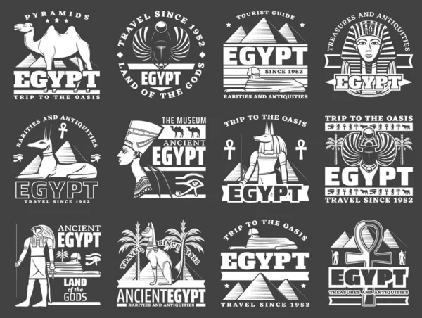 埃及与古埃及法老金字塔 狮身人面像和众神同行 带有Ankh符号的向量Anubis和Horus 带有象形文字单色符号的猫 狗和Scarab Nefertiti和Tutankhamun — 图库矢量图片