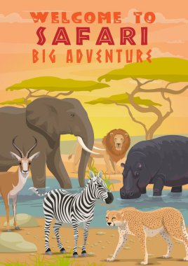 Afrika safari turu, av sporu ve açık hava macerası. Vektör fil, zebra, aslan ve antilop, su aygırı, çita ya da leopar, vahşi yırtıcı hayvan ve otobur.