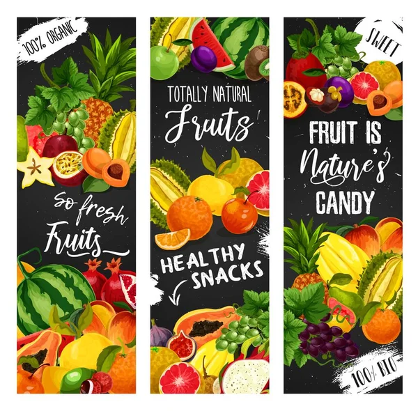 Bandeiras Quadro Negro Frutas Exóticas Design Vetorial Frutas Tropicais Jardim — Vetor de Stock