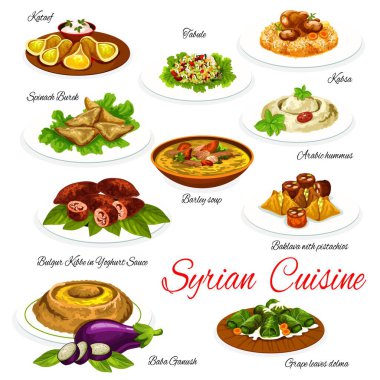 Suriye mutfağı sebzesi ve etli tatlı, vektör gıda. Humus, arpa çorbası ve bulgur salatası, tavuk pilavı, baklava, cevizli börek ve dolma, patlıcan sosu, ıspanak ve kuzu kızartması.