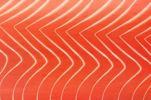 Modèle Texture Saumon Viande Poisson Fond Vectoriel Cuisine Japonaise Texture — Image vectorielle