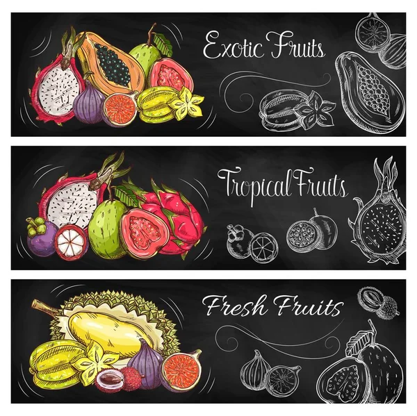 Egzotyczne Banery Owocowe Jagodowe Tablicy Tropikalnym Jedzeniem Rolniczym Ogrodowym Papaja — Wektor stockowy