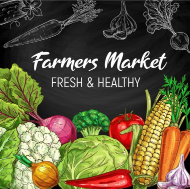 Çiftlik sebzeleri, karatahta vektör taslağı. Vejetaryen salataları vejetaryen organik yiyecekler, karnabahar ve brokoli, lahana, mısır, domates, pancar ve mısır, sarımsak ve havuç.