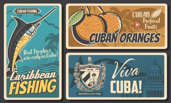 Cuba Reizen Cultuur Bezienswaardigheden Entertainment Cubaanse Tropische Sinaasappelvruchten Caribische Visreizen — Stockvector