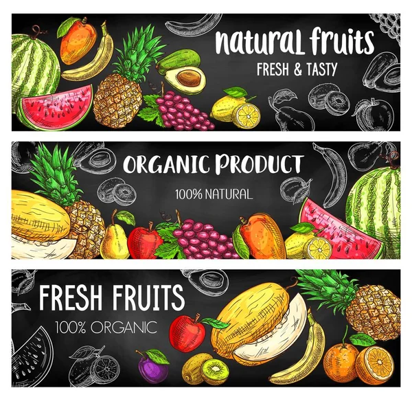 Farm Kerti Trópusi Gyümölcsök Betakarítása Vektorkréta Vázlatok Természetes Egzotikus Ananász — Stock Vector
