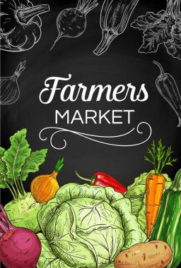 Tahtada taze sebze tebeşirleri, vektör çiftlik yemekleri. Havuç, soğan, biber ve yeşil lahana, kabak, kabak, pancar ve kırmızı biber, patates ve kohlrabi, çiftlik pazarının karatahta posteri.