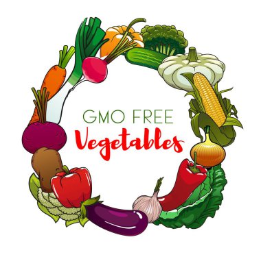 GDO 'suz gıdanın çiftlik sebzeleri vektör tasarımı. Bahçe çanı biberleri, havuç ve patlıcan, lahana, soğan ve sarımsak, turp, brokoli, karnabahar ve salatalık, patates, pancar, pırasa ve kabak.