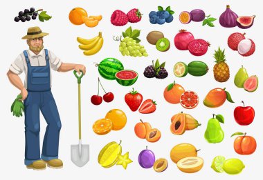 Meyveler, böğürtlenler ve çiftçiler, bahçe ve çiftçiliğin taşıyıcı gıdaları. Elma, çilek, portakal ve kiraz, mango, papaya, limon ve muz, yabanmersini, ananas, şeftali ve karpuz, liçi ve incir.