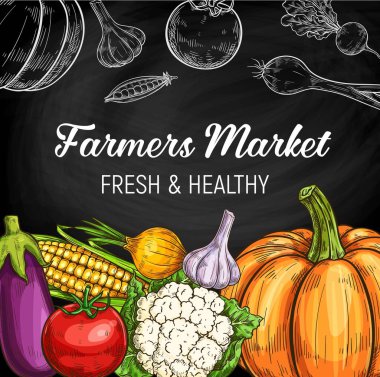 Çiftlik sebzeleri karatahtasında tebeşirle bahçe yemeği çizimleri var. Taze domates, soğan ve sarımsak, patlıcan, karnabahar ve yeşil bezelye kabuğu, balkabağı, turp ve tahtanın üzerine çizilmiş sebzeler.