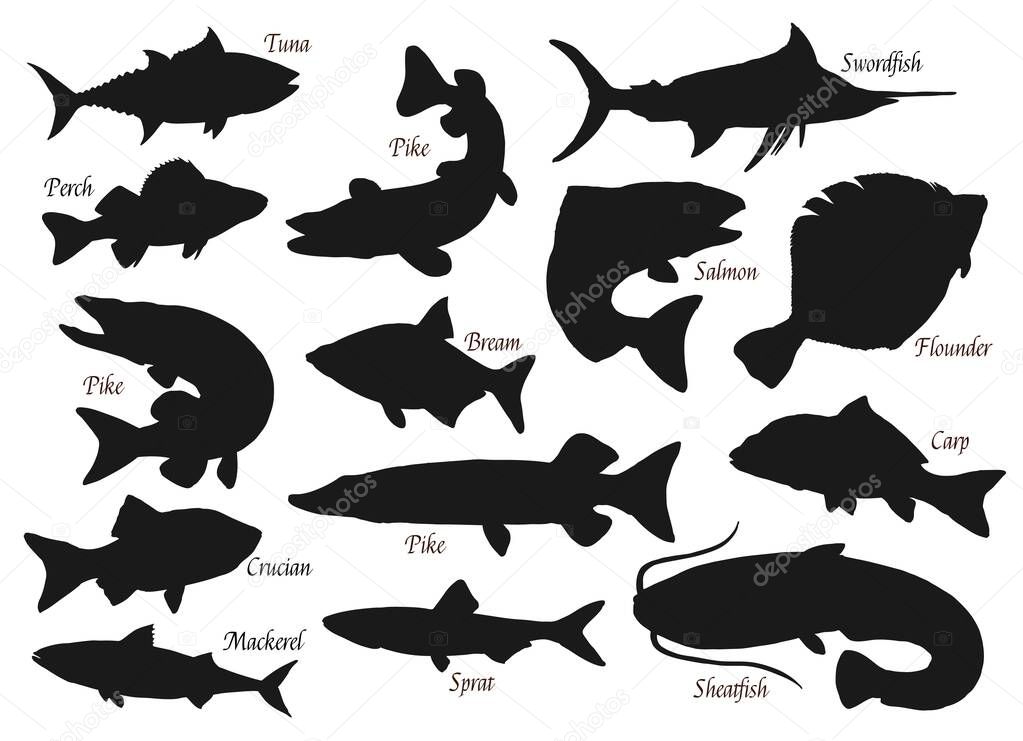 Fishes, silhouette vector icons, ocean, river or sea and lake fishing fish. Pike, tuna or crucian, swordfish and flounder, carp, sheatfish and bream, perch and pike