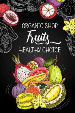 Tropikal meyve pazarı ve organik gıda dükkanı, vektör posteri. Doğal sağlıklı egzotik durian, incir ve karambola yıldız meyvesi, guava, pithaya ejderha meyvesi ve mangosteen, lichee ve tutku meyvesi.