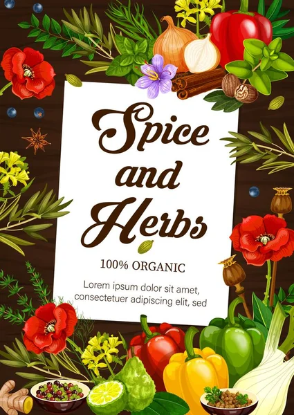 Specerijen Kruiden Vector Poster Natuurlijke Koken Kruiden Kruidenaroma Kruidenspecerijen Keukenspecerijen — Stockvector