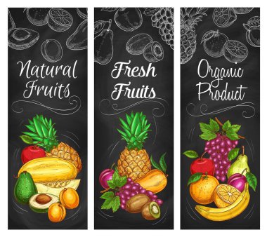 Egzotik ve bahçe meyveleri hasadı, vektör tebeşir çizim afişleri. Organik biyo-meyve avokado, muz ve kavun, ananas, tropik kivi, turuncu narenciye ve armut, üzüm ve mango.