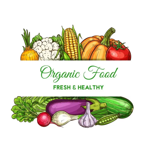 Vegetais Vegetais Fazenda Comida Natural Cartaz Vetor Mercearia Milho Vegetariano — Vetor de Stock