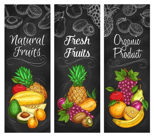 Egzotikus Kerti Gyümölcsszüret Vektorkréta Vázlatok Biogyümölcsök Avokádó Banán Dinnye Ananász — Stock Vector