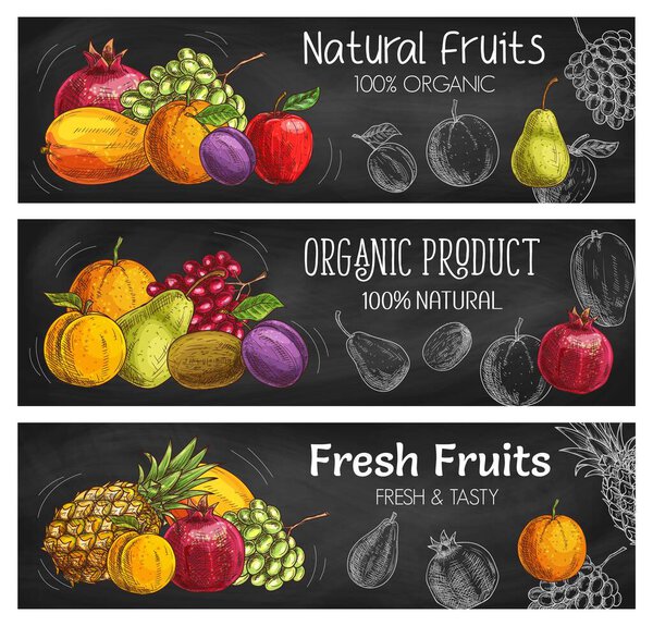 Exotic tropical and garden fruits harvest, vector chalk sketch banners. Ripe juicy fruits apple, orange and pomegranate, pear, peach and pineapple, organic bio farm grapes and plums