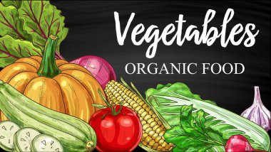 Sebze tahtası tebeşir çizimi, vektör karatahta yemek posteri. Organik sebzeler ve sebzeler, yeşillik, çiftlik pazarı karatahta kabağı, mısır ve domates, sarımsak, kabak, turp ve pancar.