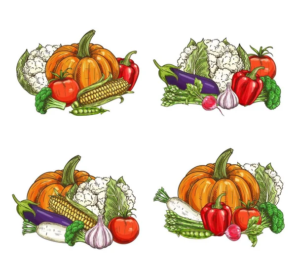 Λαχανικά Σκίτσο Τροφίμων Βιολογικά Αγρόκτημα Vector Veggies Της Αγοράς Χειροποίητα — Διανυσματικό Αρχείο